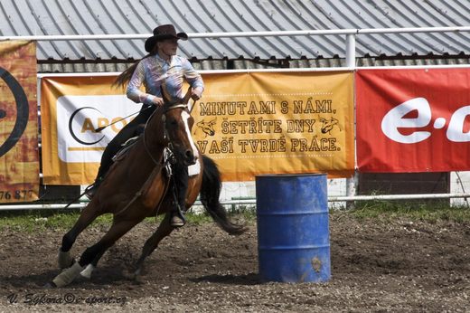 rodeoHOSL12_450.jpg