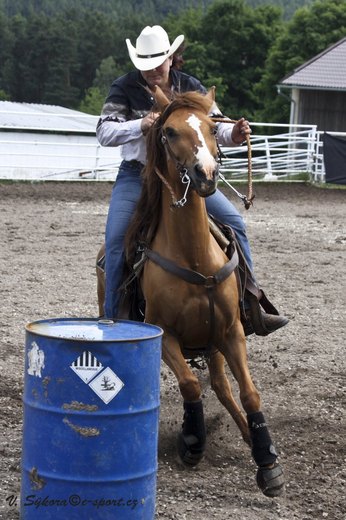 rodeoHOSL12_458.jpg