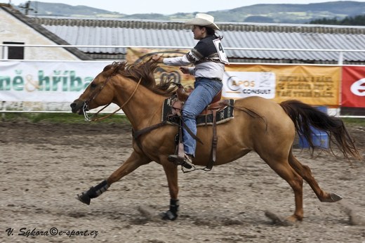 rodeoHOSL12_462.jpg