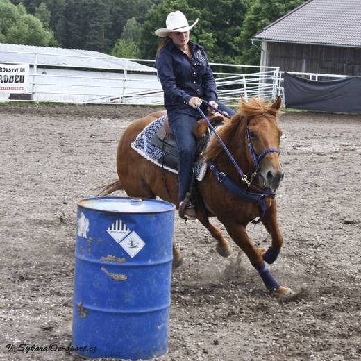 rodeoHOSL12_466.jpg