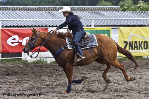 rodeoHOSL12_482.jpg