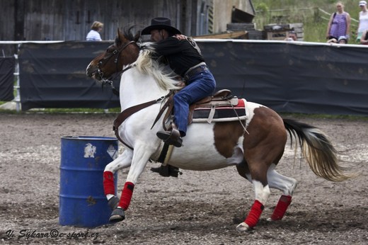 rodeoHOSL12_500.jpg