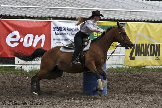 rodeoHOSL12_540.jpg