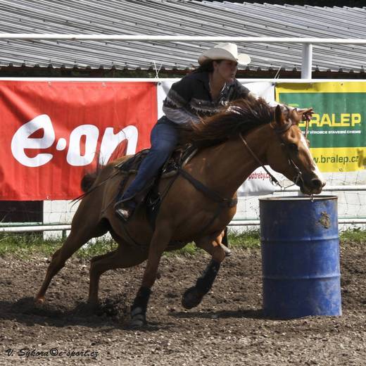rodeoHOSL12_552.jpg