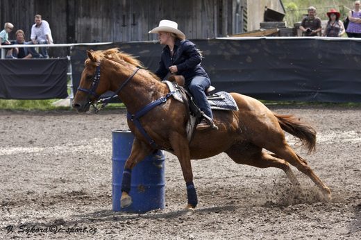 rodeoHOSL12_571.jpg