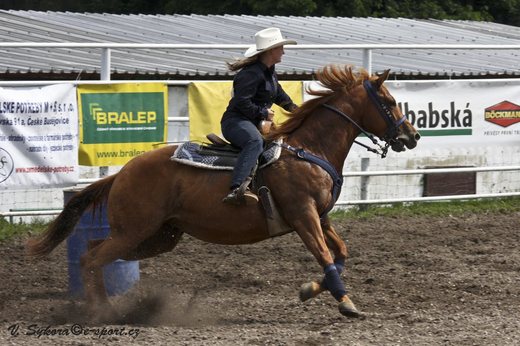 rodeoHOSL12_576.jpg