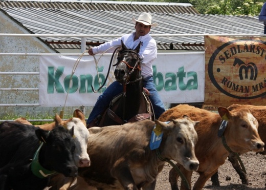 rodeo