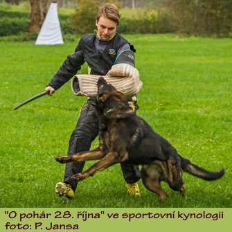 sportkyn14.JPG