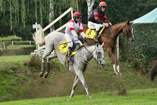 Star, Argano.jpg