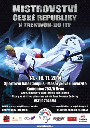 teakwon do