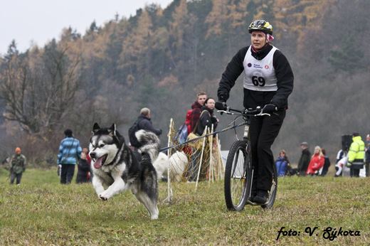 Tocnik_So_0478.jpg