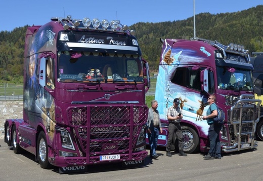 truck fest 2.jpg