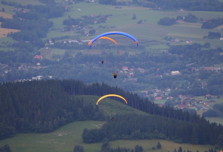 adrenalin cup