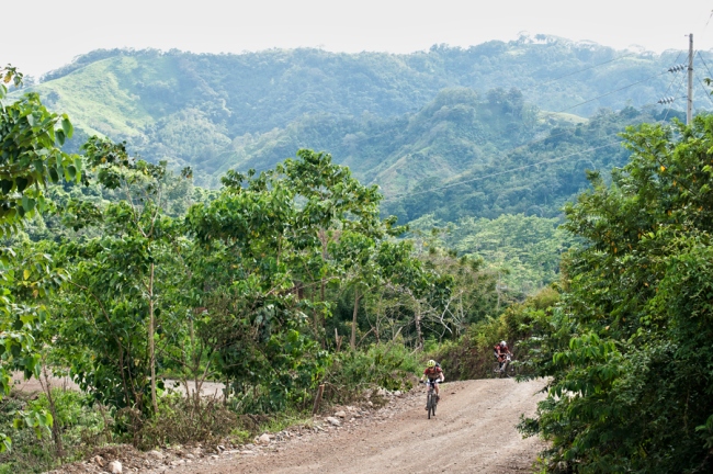 MTB