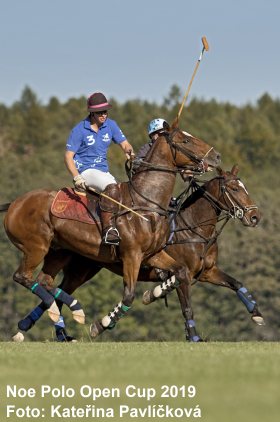 Polo v Březině